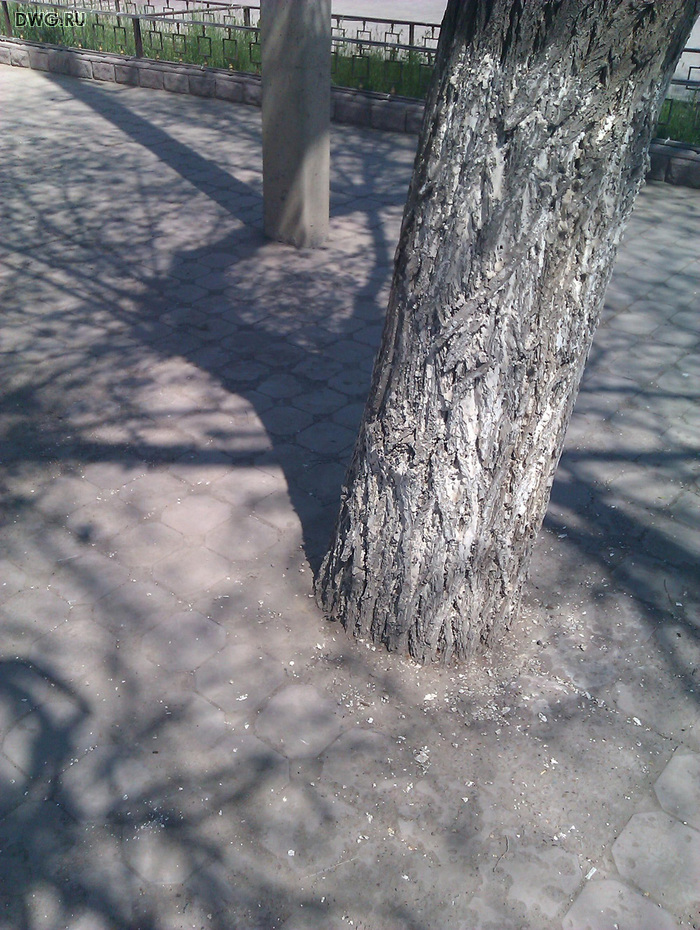 Укладка брусчатки  23/bsk3223_2.jpg