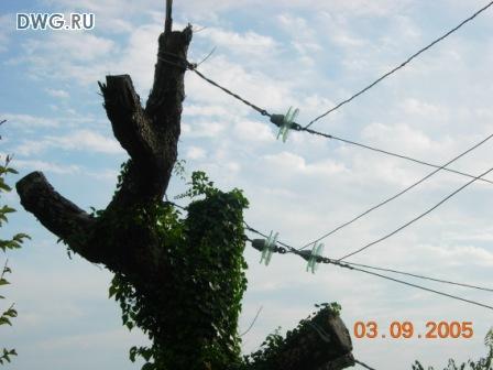 Чудо-опора 41/bsk641_1.jpg