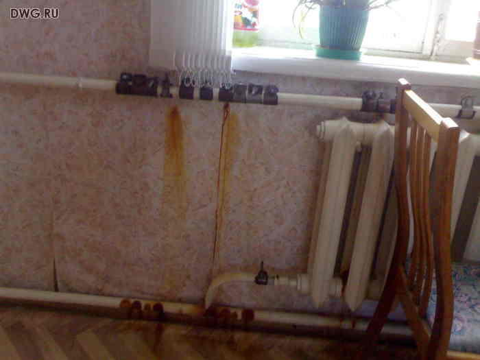 хомуты и только хомуты 44/bsk2644_1.jpg