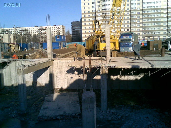 Не руби сук, на котором сидишь. 56/bsk1456_3.jpg