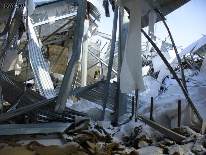 Ферма сложилась 72/bsk3172_2.jpg